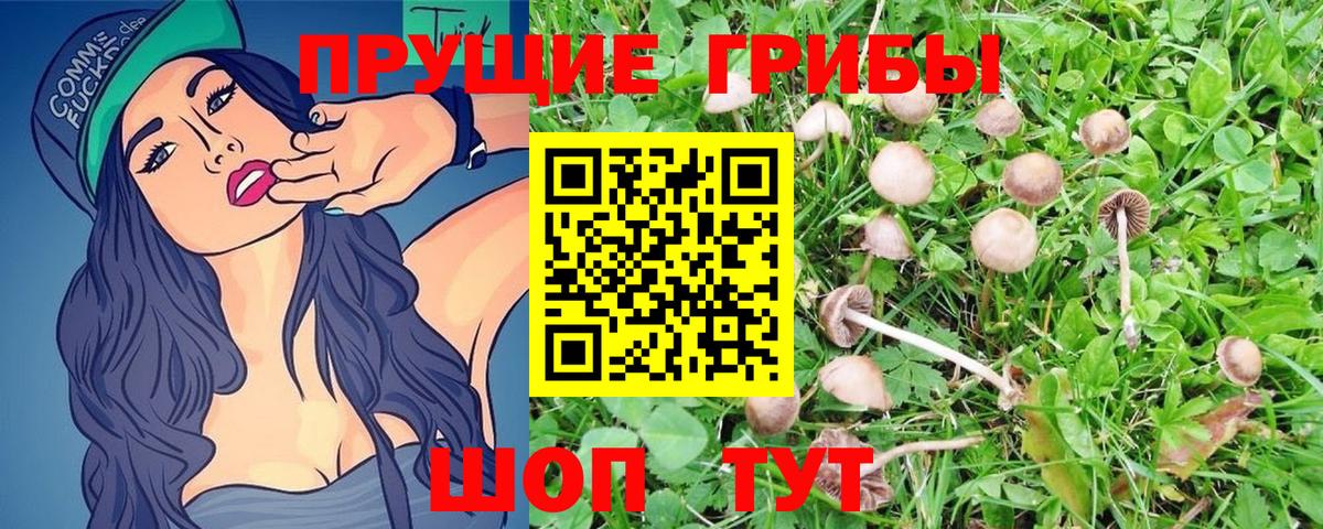 Ртищево  что такое наркотик  Галлюциногенные грибы Magic Shrooms  Вход с VPN  Псилоцибиновые грибы ЛСД 